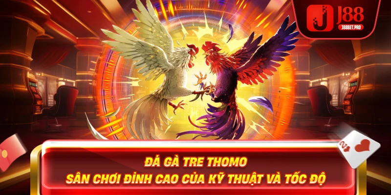 Đá Gà Tre Thomo – Sân Chơi Đỉnh Cao Của Kỹ Thuật Và Tốc Độ
